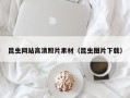 德州昆虫网站高清照片素材（昆虫图片下载）