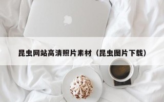 德州昆虫网站高清照片素材（昆虫图片下载）